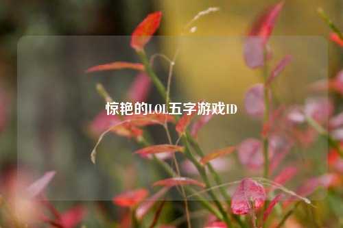 惊艳的LOL五字游戏ID