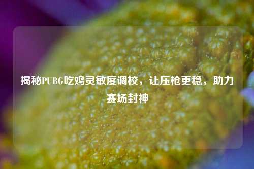 揭秘PUBG吃鸡灵敏度调校,让压枪更稳,助力赛场封神