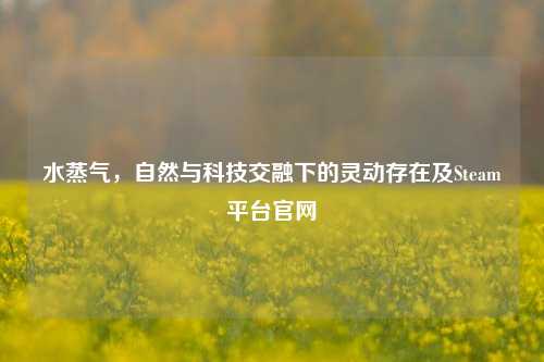水蒸气,自然与科技交融下的灵动存在及Steam平台官网