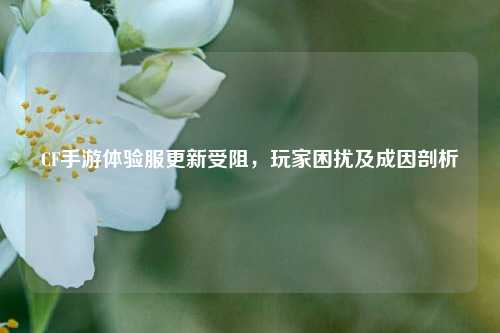 CF手游体验服更新受阻,玩家困扰及成因剖析