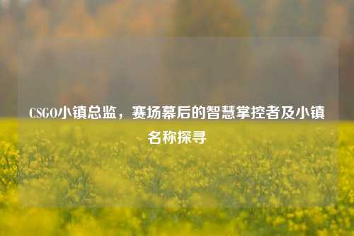 CSGO小镇总监,赛场幕后的智慧掌控者及小镇名称探寻
