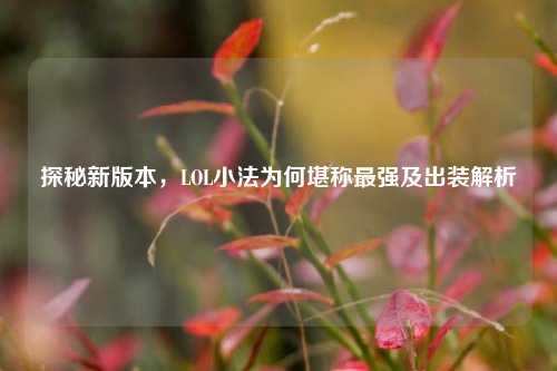 探秘新版本,LOL小法为何堪称最强及出装解析