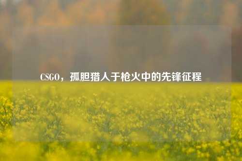 CSGO,孤胆猎人于枪火中的先锋征程
