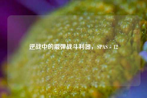 逆战中的霰弹战斗利器,SPAS - 12