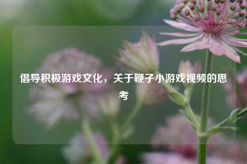 倡导积极游戏文化,关于鞭子小游戏视频的思考
