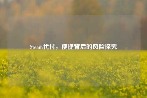 Steam代付，便捷背后的风险探究