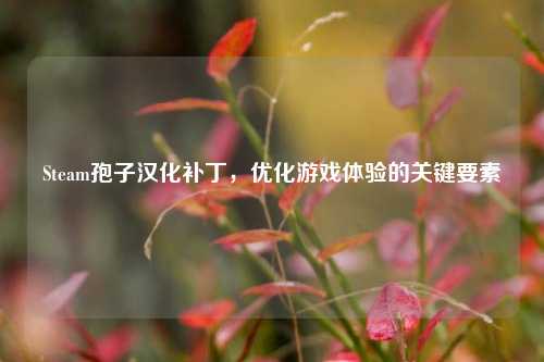 Steam孢子汉化补丁,优化游戏体验的关键要素