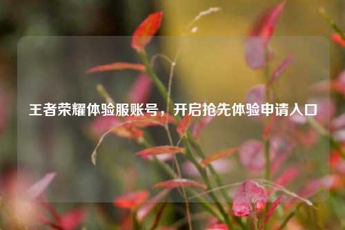王者荣耀体验服账号,开启抢先体验申请入口