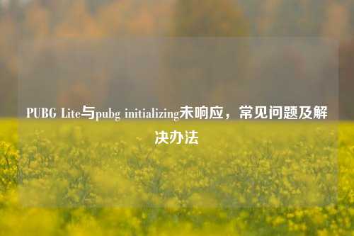 PUBG Lite与pubg initializing未响应,常见问题及解决办法