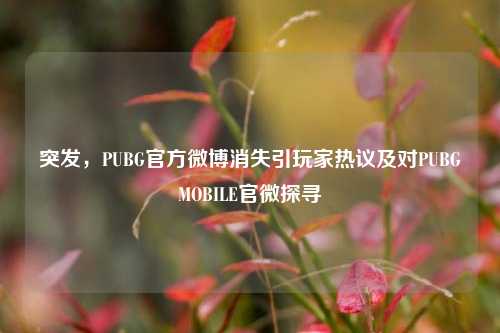 突发,PUBG官方微博消失引玩家热议及对PUBGMOBILE官微探寻
