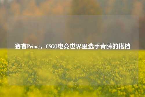 赛睿Prime，CSGO电竞世界里选手青睐的搭档