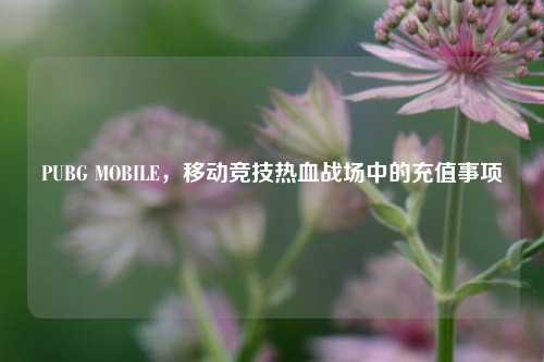 PUBG MOBILE,移动竞技热血战场中的充值事项