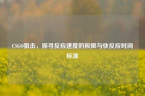CSGO狙击,探寻反应速度的极限与快反应时间标准