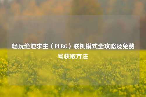 畅玩绝地求生(PUBG)联机模式全攻略及免费号获取方法