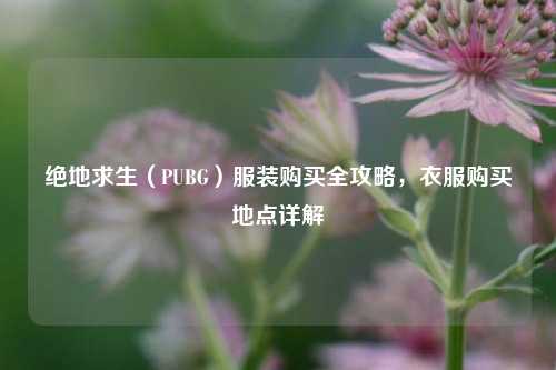 绝地求生(PUBG)服装购买全攻略,衣服购买地点详解
