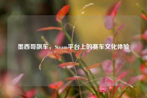 墨西哥飙车,Steam平台上的赛车文化体验