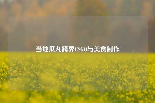 当地瓜丸跨界CSGO与美食制作