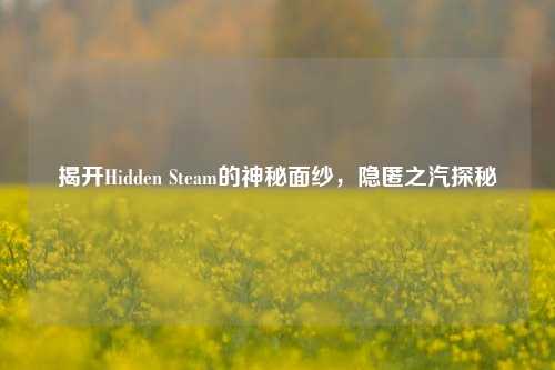 揭开Hidden Steam的神秘面纱,隐匿之汽探秘