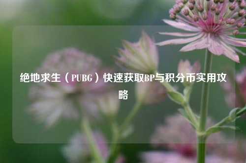 绝地求生(PUBG)快速获取BP与积分币实用攻略