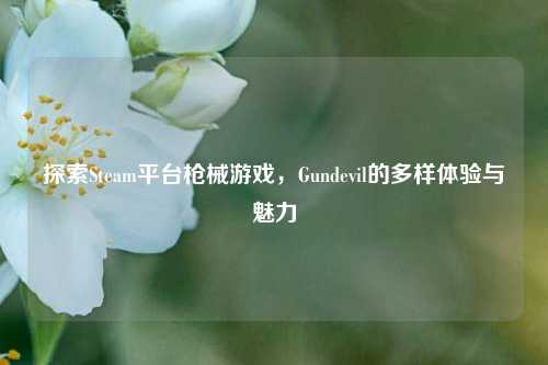 探索Steam平台枪械游戏,Gundevil的多样体验与魅力