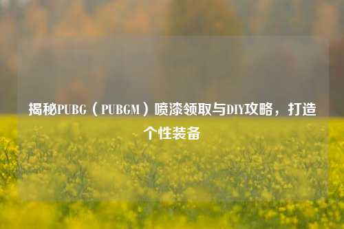 揭秘PUBG(PUBGM)喷漆领取与DIY攻略,打造个性装备