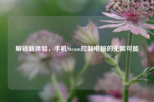 解锁新体验,手机Steam控制电脑的无限可能