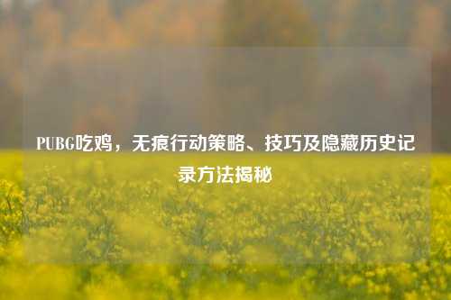 PUBG吃鸡,无痕行动策略、技巧及隐藏历史记录方法揭秘