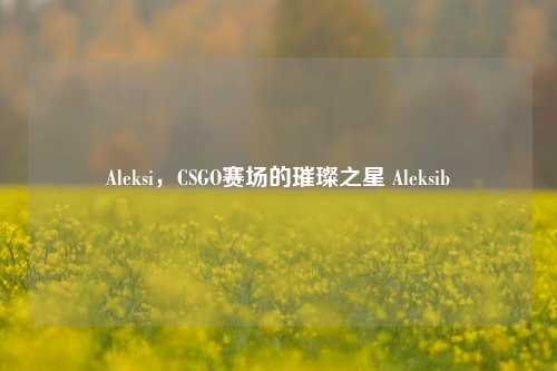 Aleksi,CSGO赛场的璀璨之星 Aleksib