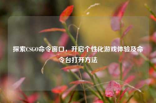 探索CSGO命令窗口，开启个性化游戏体验及命令台打开方法