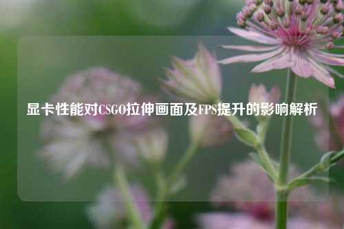 显卡性能对CSGO拉伸画面及FPS提升的影响解析