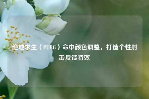 绝地求生(PUBG)命中颜色调整,打造个性射击反馈特效