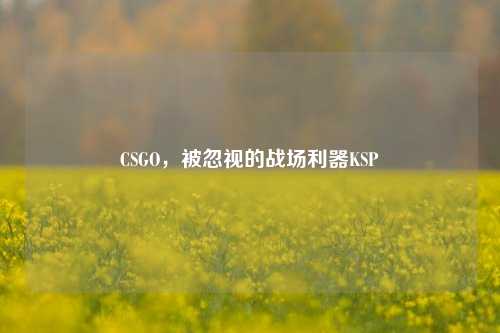 CSGO，被忽视的战场利器KSP