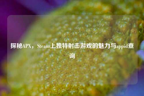 探秘APX,Steam上独特射击游戏的魅力与appid查询