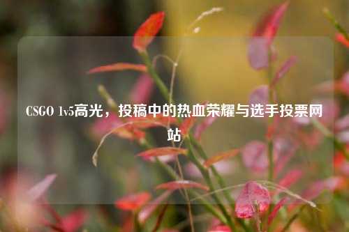 CSGO 1v5高光,投稿中的热血荣耀与选手投票网站