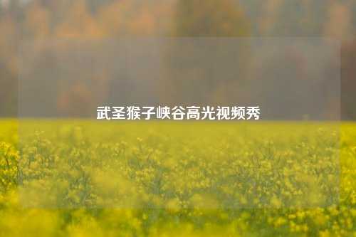武圣猴子峡谷高光视频秀