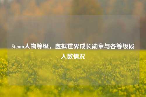 Steam人物等级,虚拟世界成长勋章与各等级段人数情况