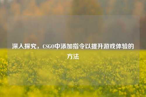 深入探究,CSGO中添加指令以提升游戏体验的方法