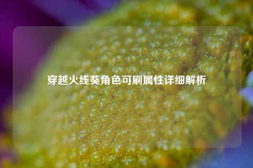 穿越火线葵角色可刷属性详细解析