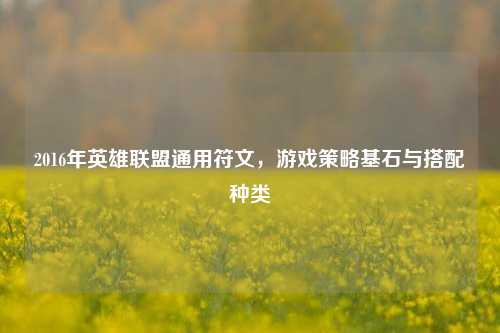 2016年英雄联盟通用符文,游戏策略基石与搭配种类