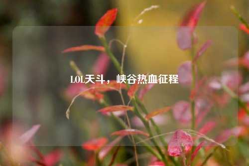LOL天斗,峡谷热血征程