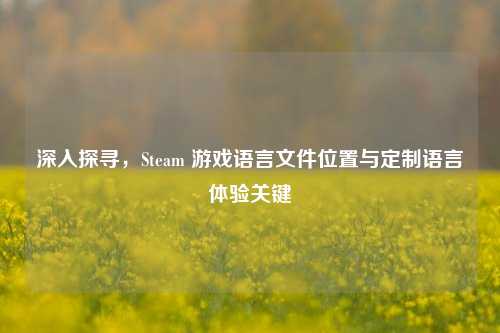 深入探寻,Steam 游戏语言文件位置与定制语言体验关键