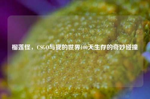 榴莲怪,CSGO与我的世界100天生存的奇妙碰撞