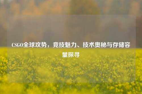 CSGO全球攻势,竞技魅力、技术奥秘与存储容量探寻