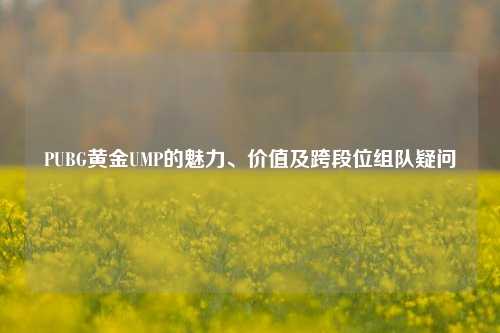 PUBG黄金UMP的魅力、价值及跨段位组队疑问