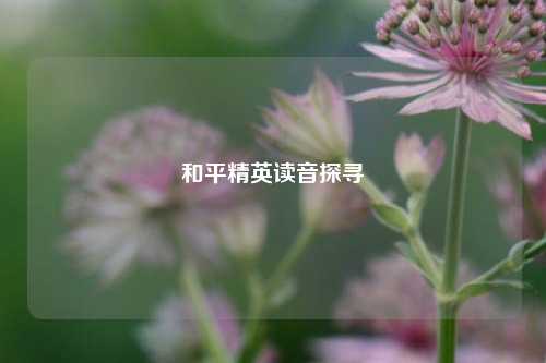 和平精英读音探寻