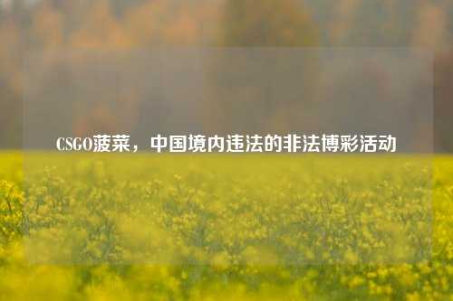 CSGO菠菜,中国境内违法的非法博彩活动