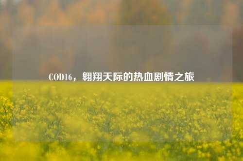 COD16,翱翔天际的热血剧情之旅