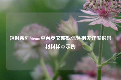 辐射系列Steam平台英文游戏体验相关诈骗报案材料样本示例