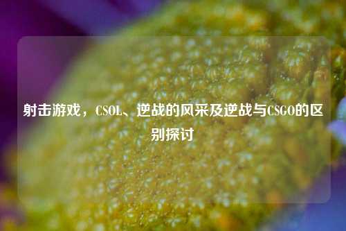 射击游戏,CSOL、逆战的风采及逆战与CSGO的区别探讨