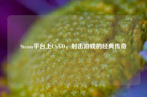 Steam平台上CS:GO,射击游戏的经典传奇